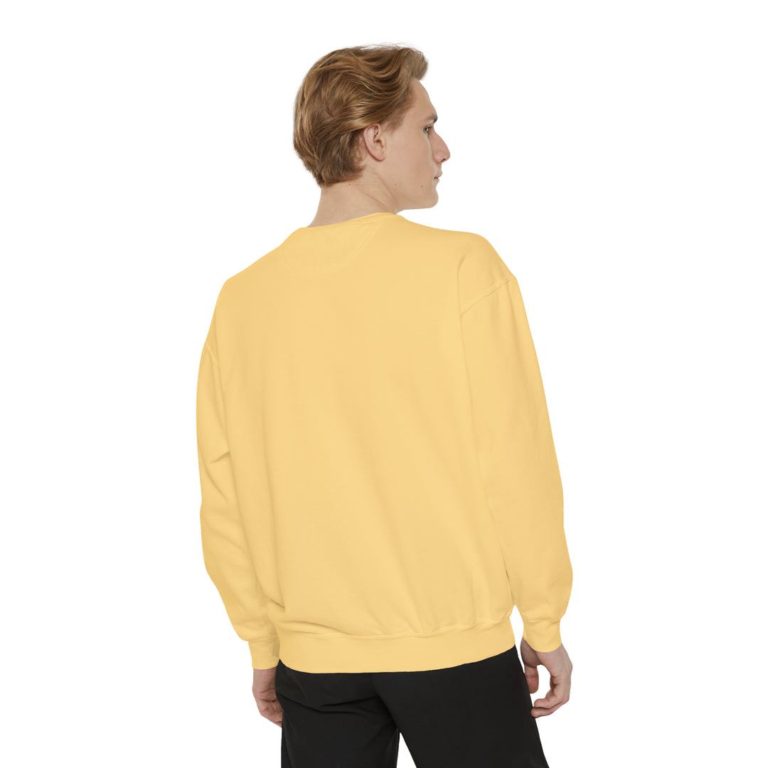 Arizona Retro Sweatshirt - Ezra's Clothing - Sweatshirt